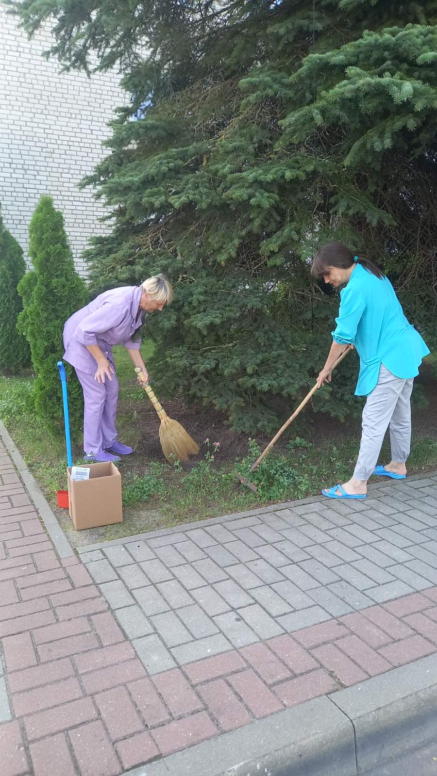 Субботник (опубликовано 11.08.2025)