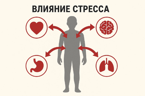 Важные навыки в периоды стресса