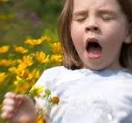 pollinoz.jpg